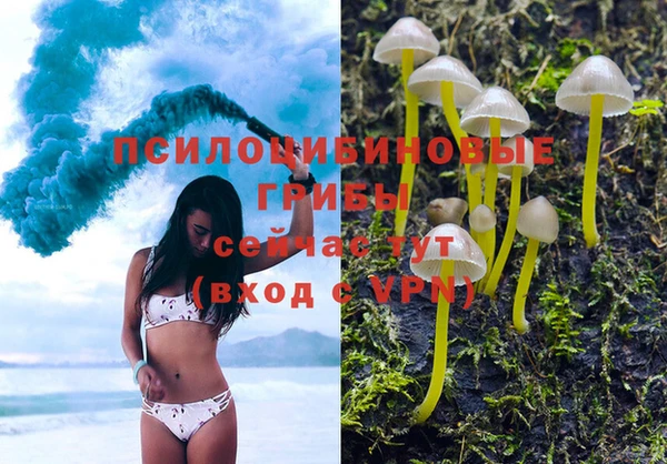 тгк Арсеньев
